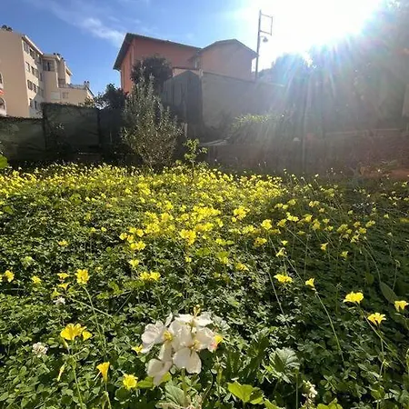 Jardin Secret A - 2 Pieces